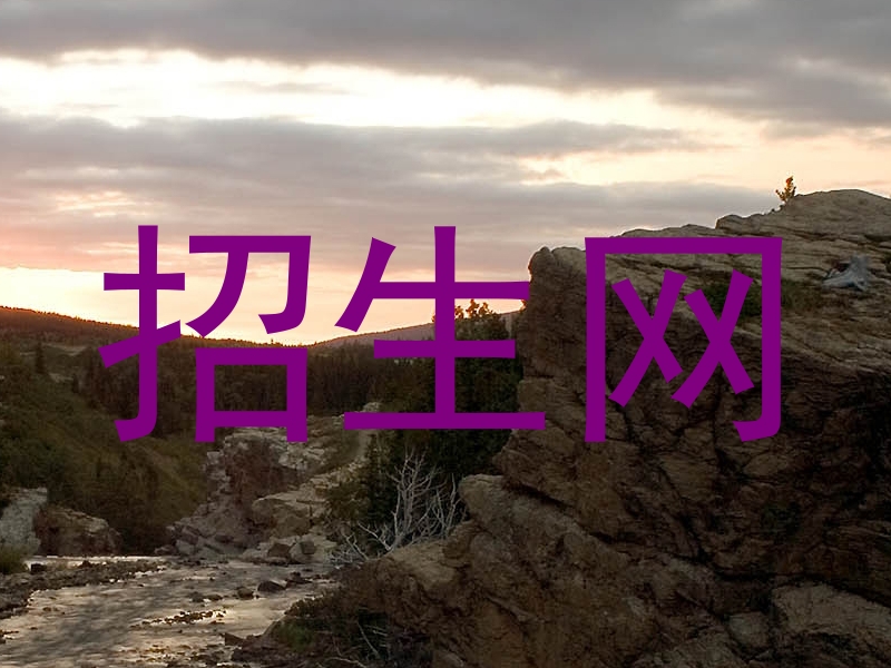 招生网