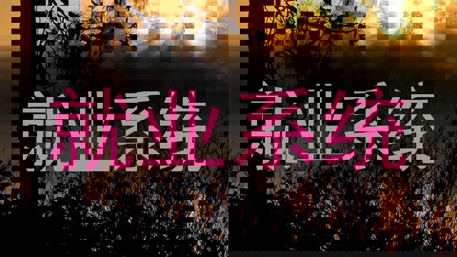 就业系统