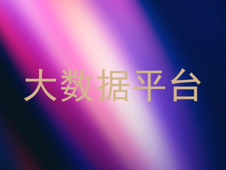 大数据平台
