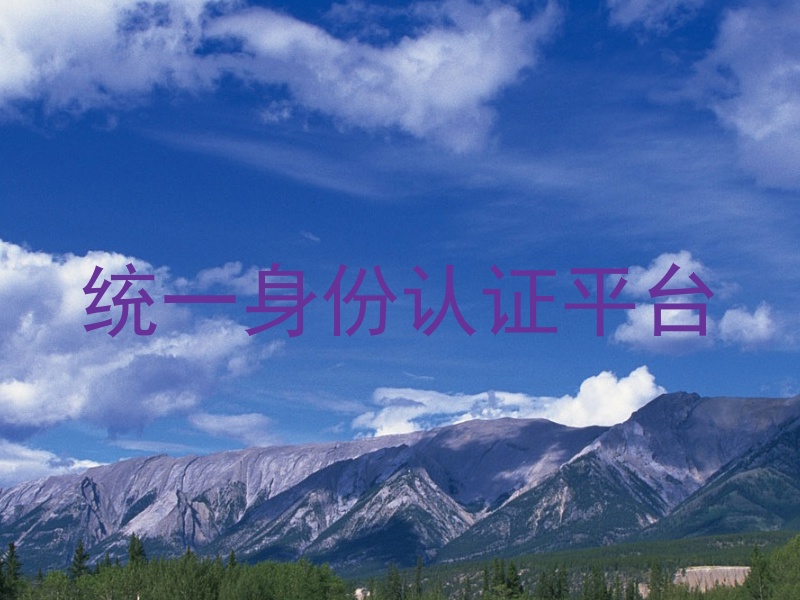 统一身份认证平台