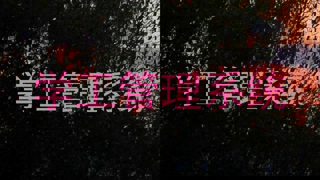 学工管理系统