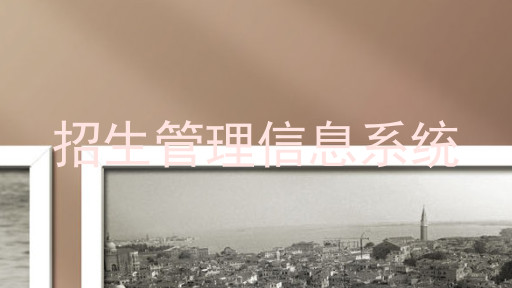 招生管理信息系统