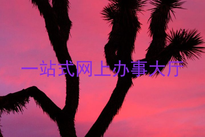 一站式网上办事大厅
