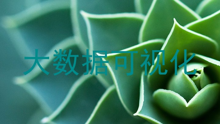大数据可视化