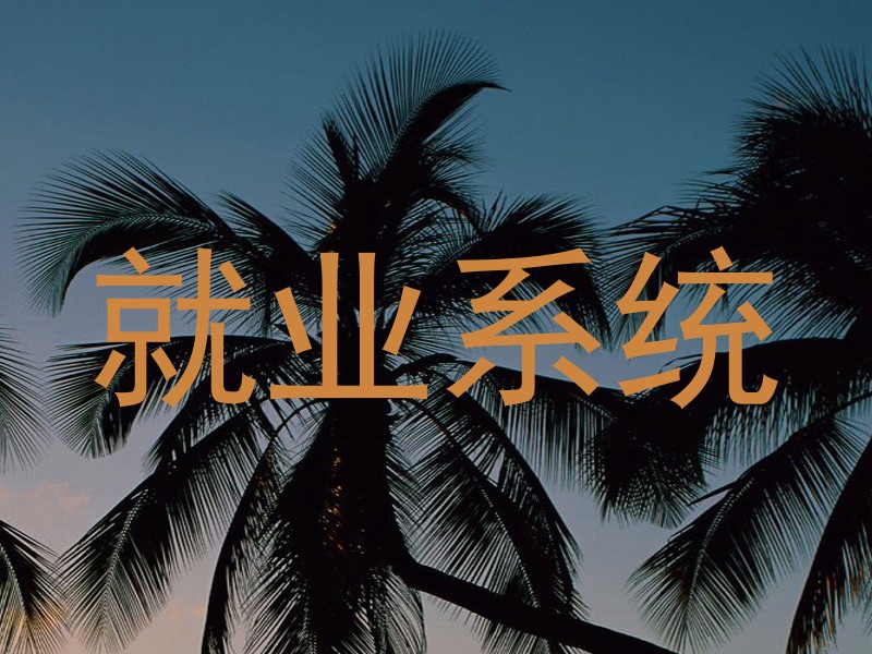 就业系统