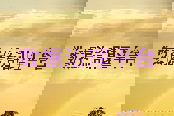 数据治理平台