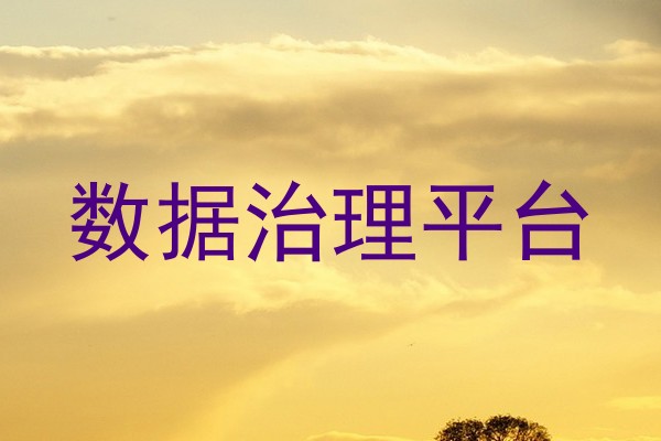 数据治理平台