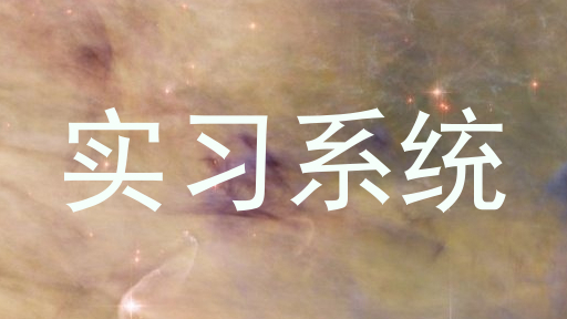 实习系统