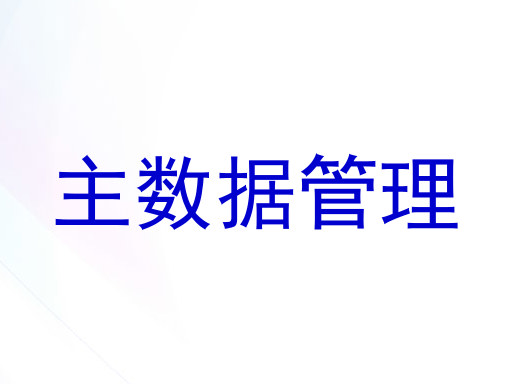 主数据管理