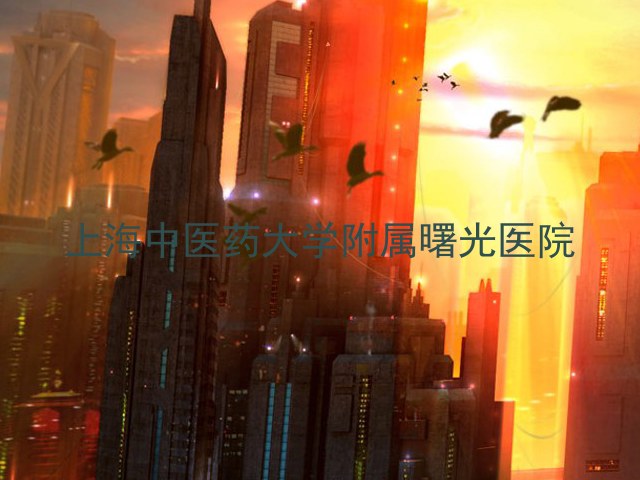 上海中医药大学附属曙光医院