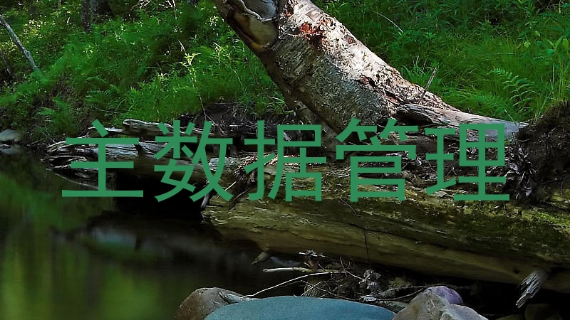 主数据管理