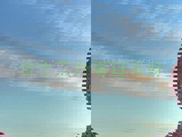 学生工作管理系统