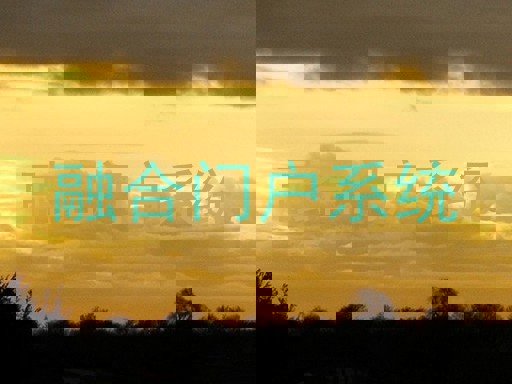 融合门户系统
