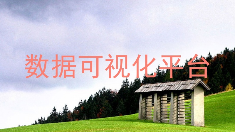 数据可视化平台