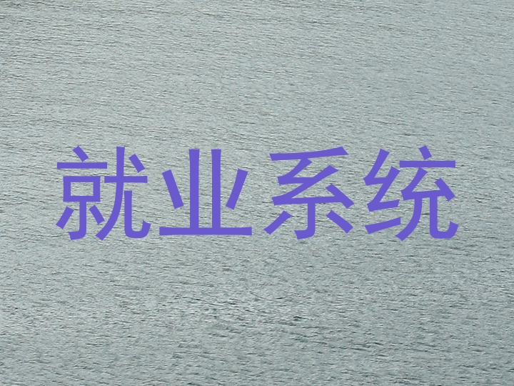 就业系统