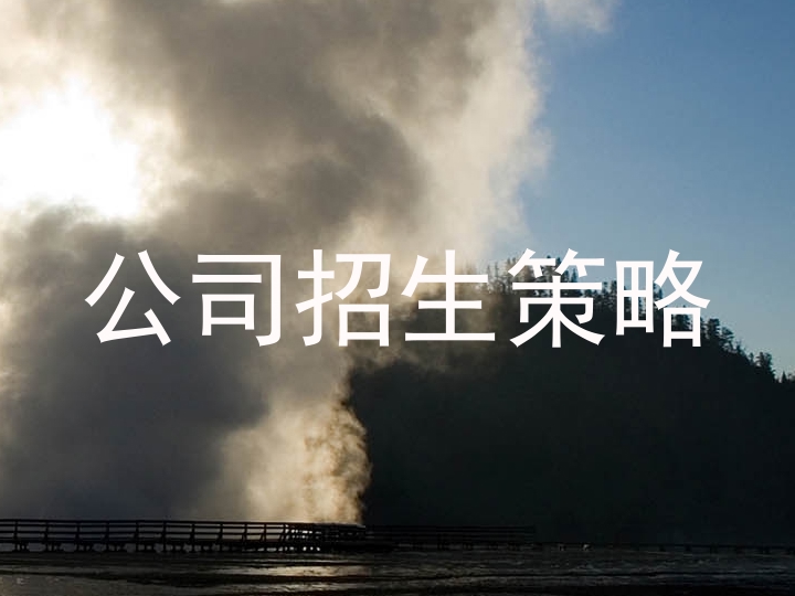 公司招生策略