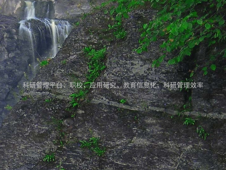 科研管理平台、职校、应用研究、教育信息化、科研管理效率