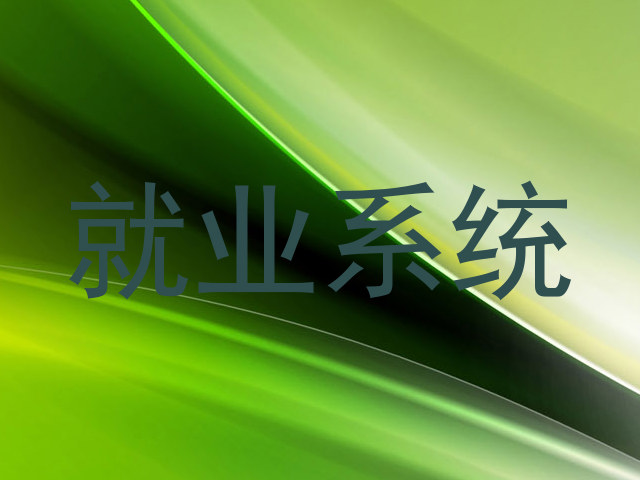 就业系统