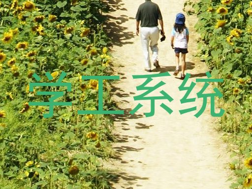 学工系统