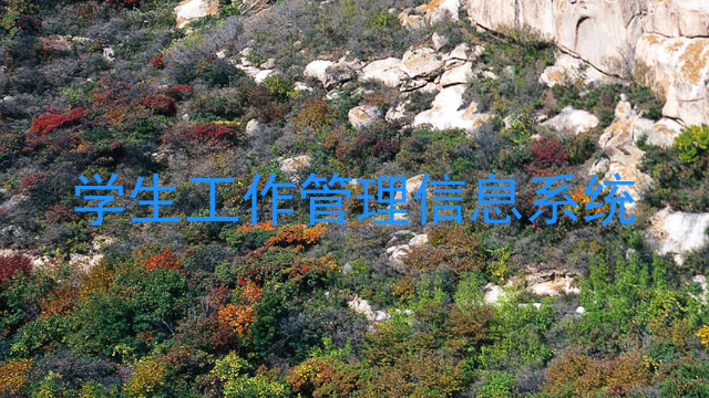 学生工作管理信息系统
