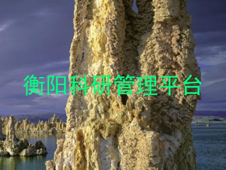 衡阳科研管理平台