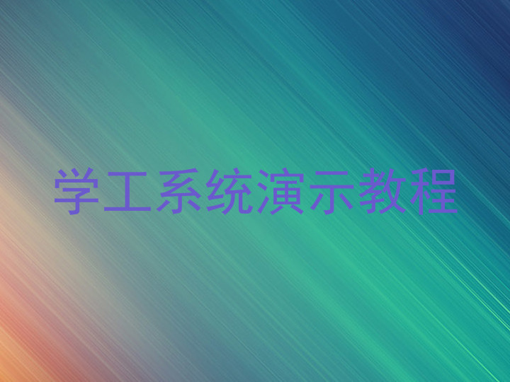 学工系统演示教程