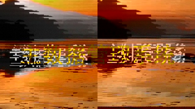 主数据管理系统