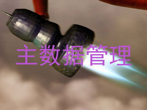 主数据管理
