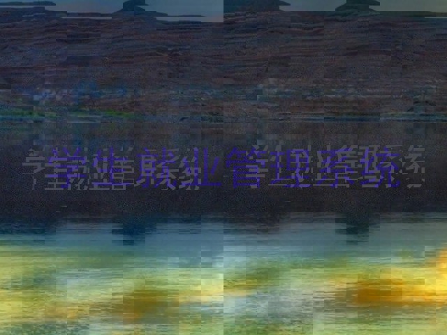 学生就业管理系统