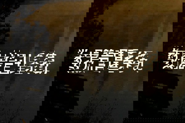 数据管理系统