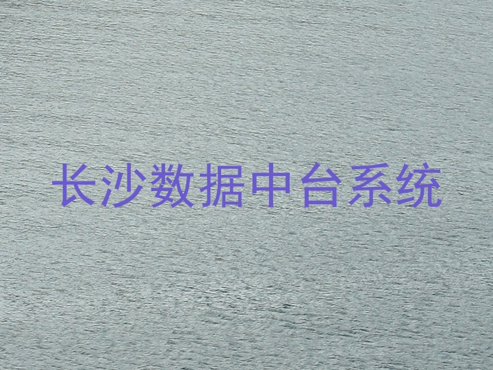 长沙数据中台系统