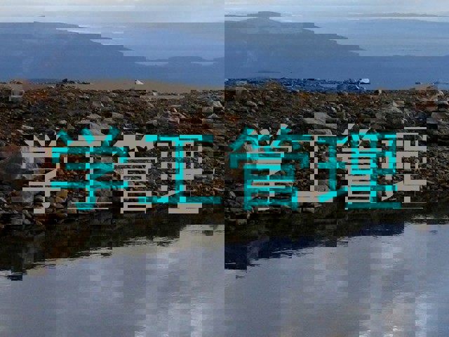 学工管理