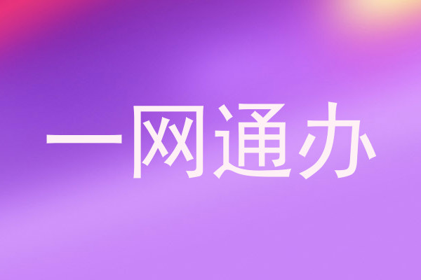 一网通办