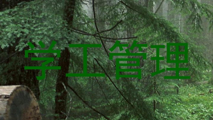 学工管理