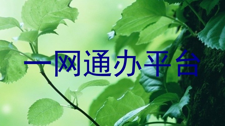 一网通办平台