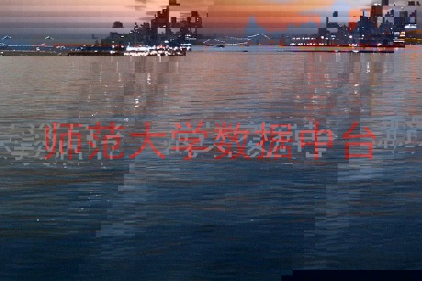 师范大学数据中台