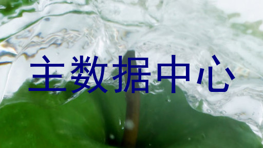 主数据中心