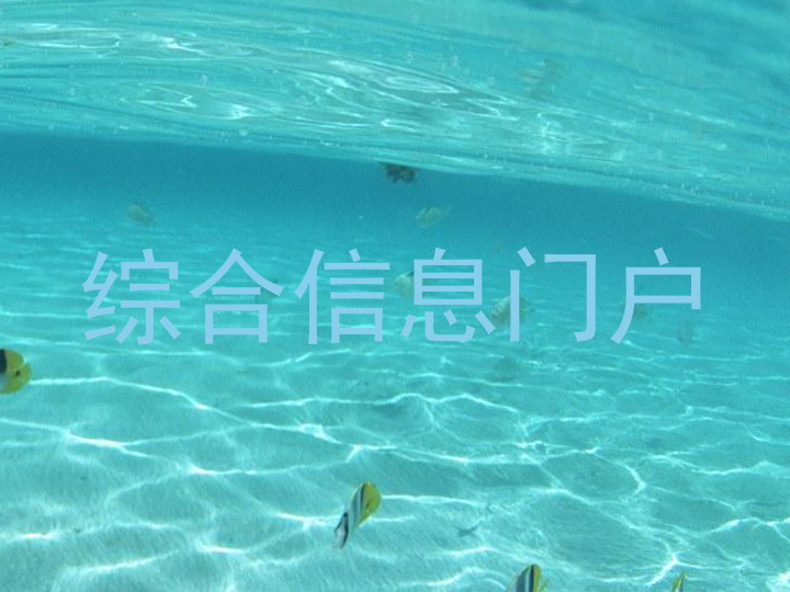 綜合信息門戶