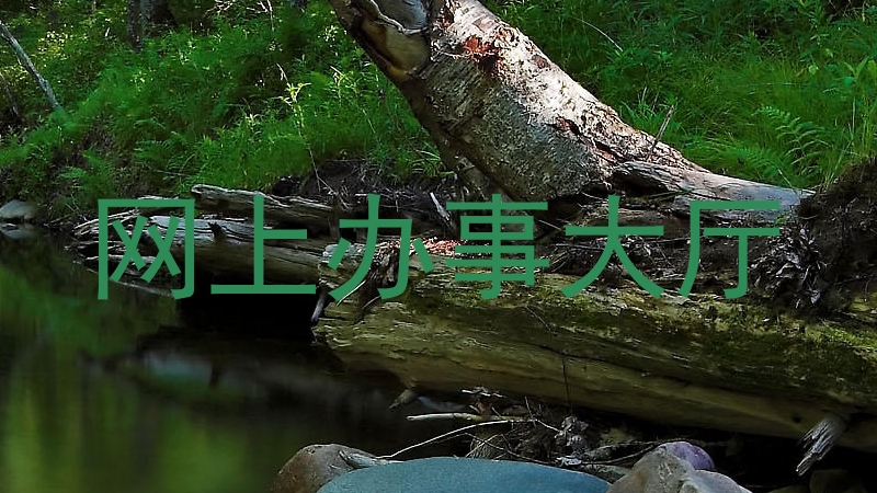 网上办事大厅