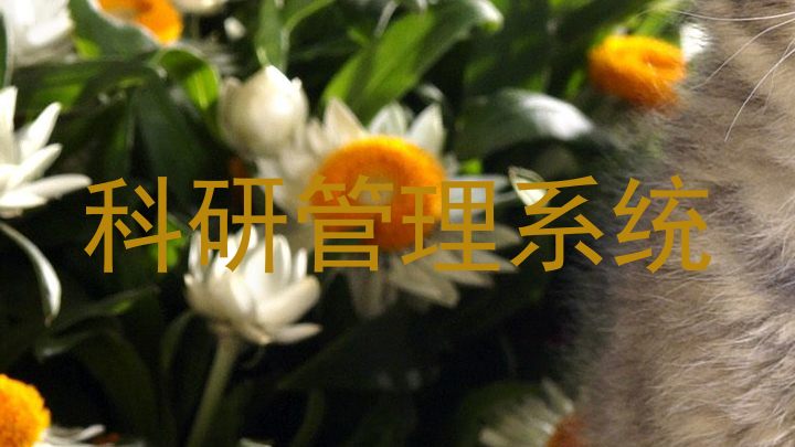 科研管理系统