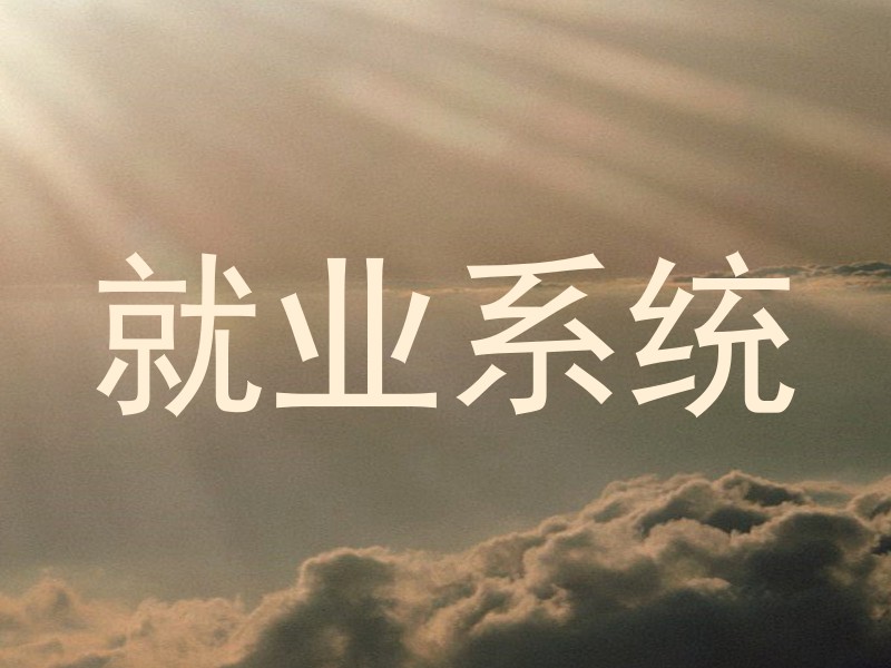 就业系统