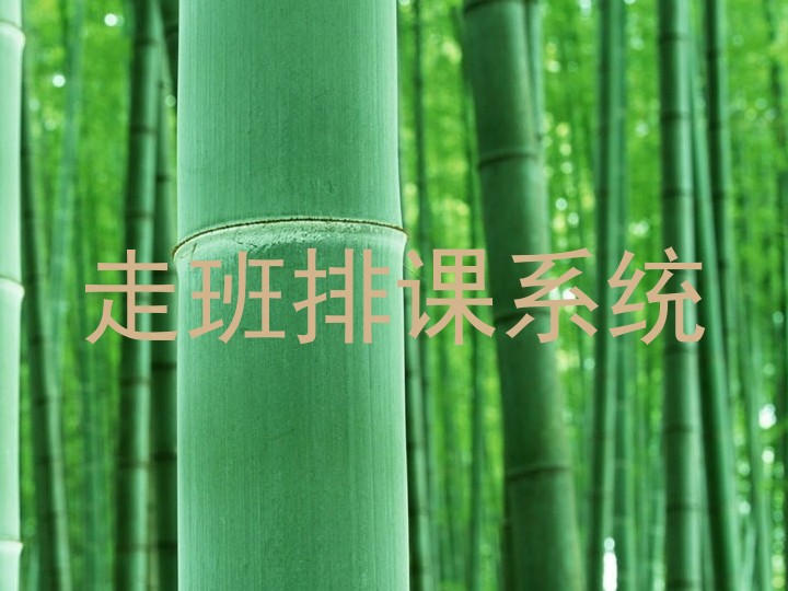 走班排课系统