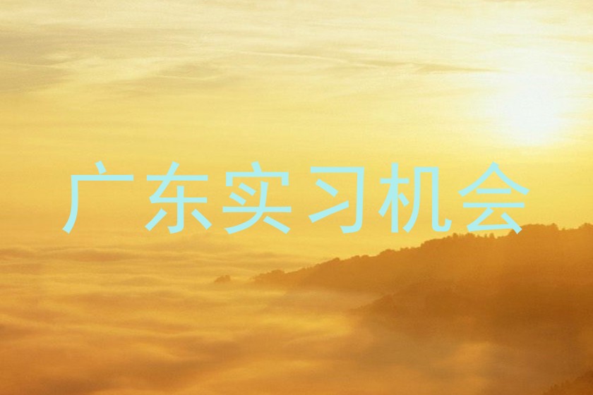 广东实习机会