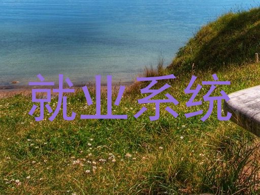 就业系统