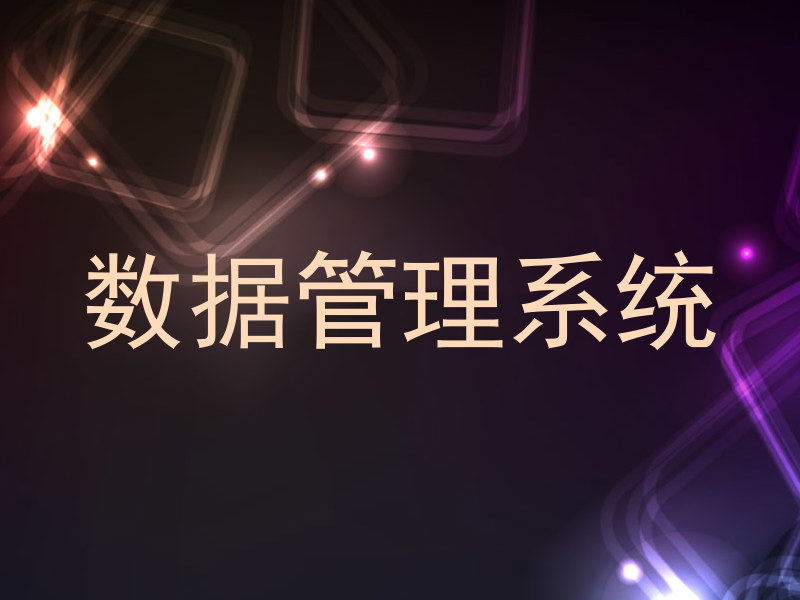 数据管理系统