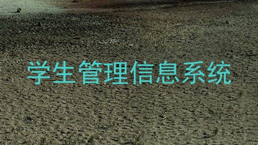 学生管理信息系统