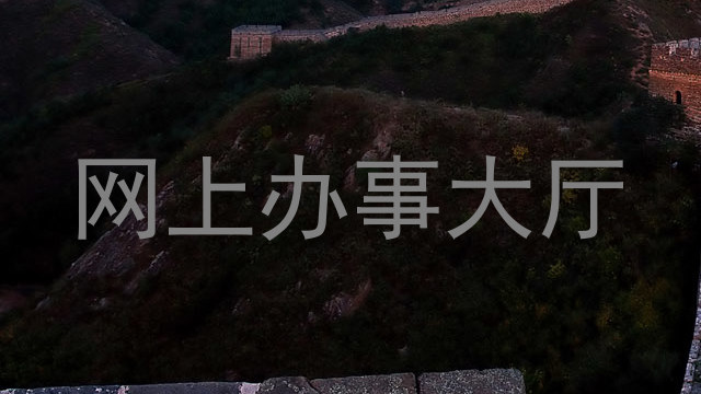 网上办事大厅