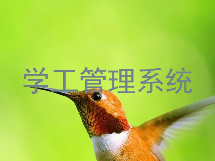 学生工作管理信息系统