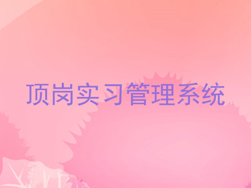 顶岗实习管理系统