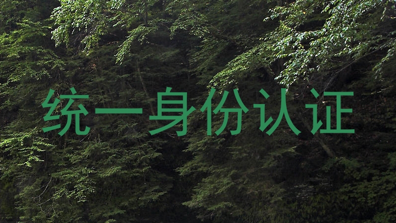 统一身份认证
